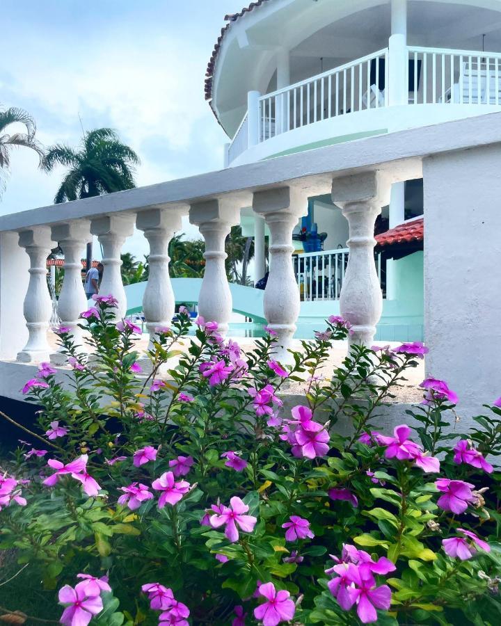 Palms Lounge Cabarete Aparthotel Exteriör bild