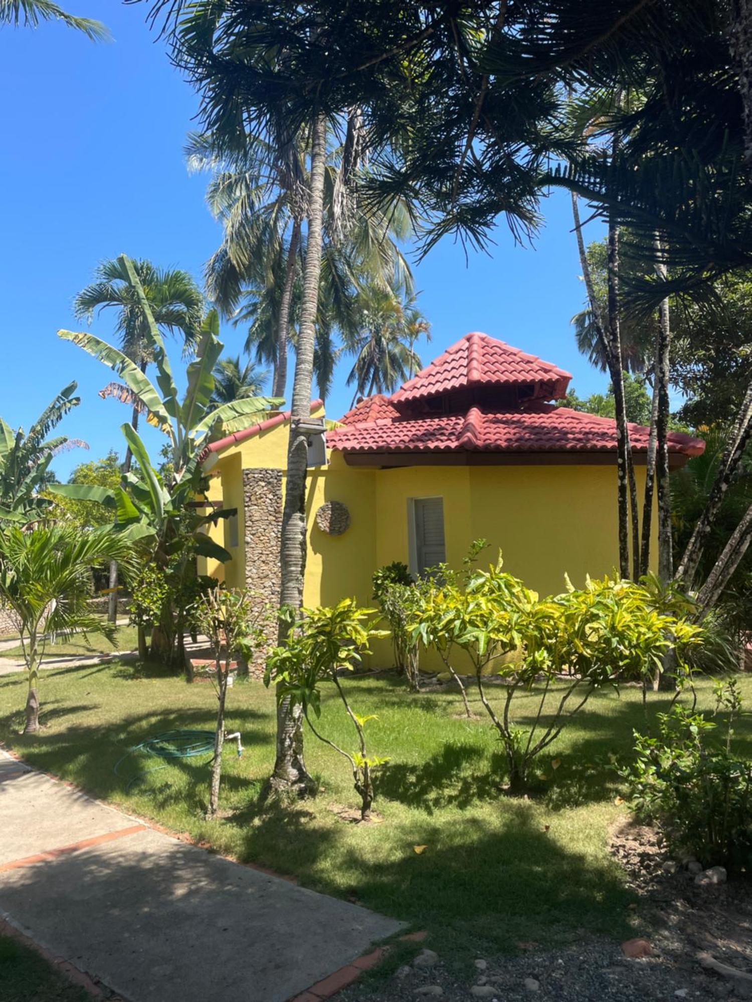 Palms Lounge Cabarete Aparthotel Exteriör bild